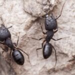 article_12529_featured_1771322048