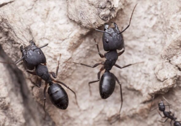 article_12529_featured_1771322048