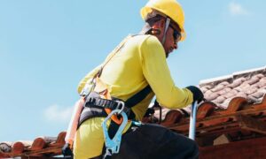 article_7349_featured